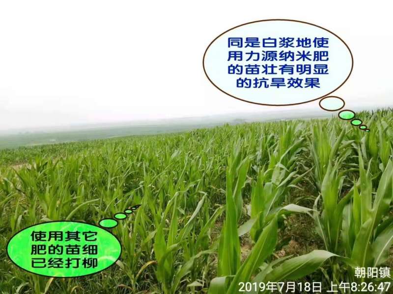 &#112;&#112;&#30005;&#23376;&#40;&#20013;&#22269;&#21306;&#41;&#23448;&#26041;&#32593;&#31449;